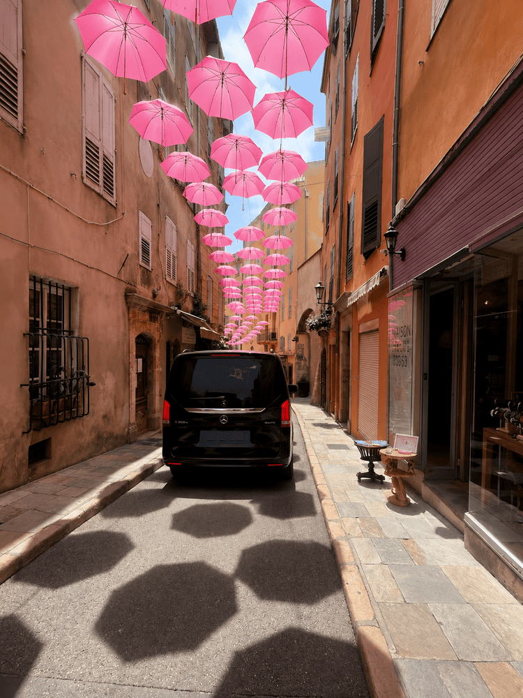 Grasse private tour from Nice
